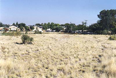 One of the lot's back rows